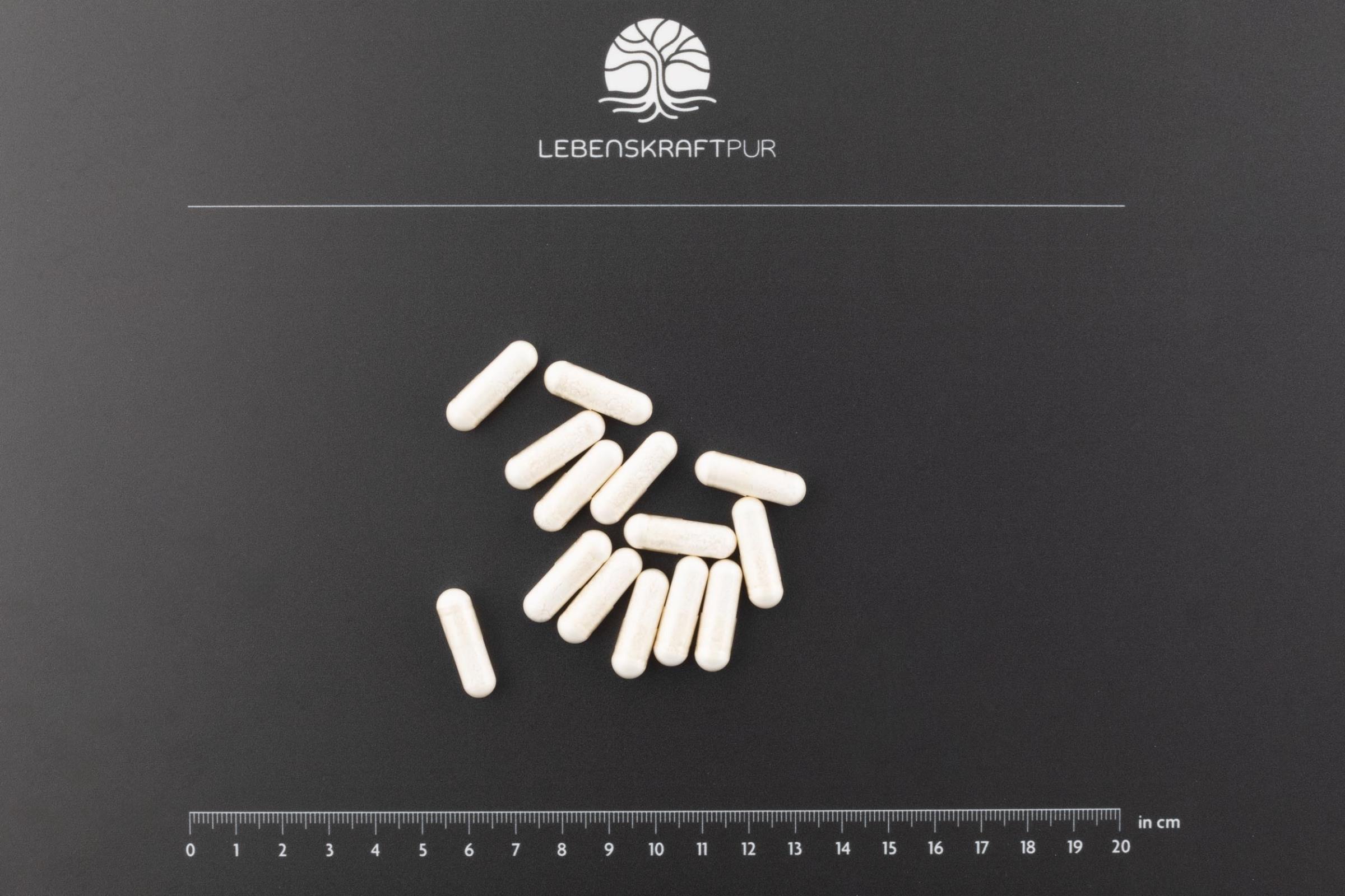 lebenskraftpur-propions-ure-kapseln-1000-mg-natriumpropionat image 3
