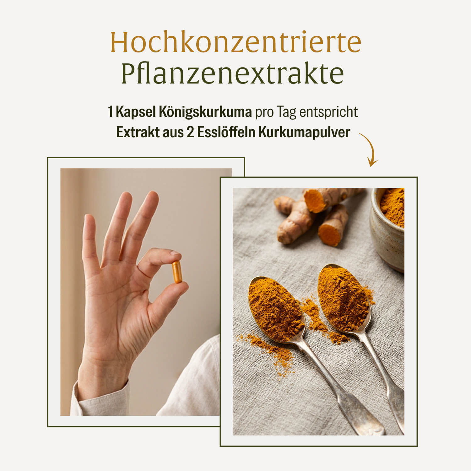 naturtreu-k-nigskurkuma-curcumera-premium-komposition-kurkuma-kapseln image 7