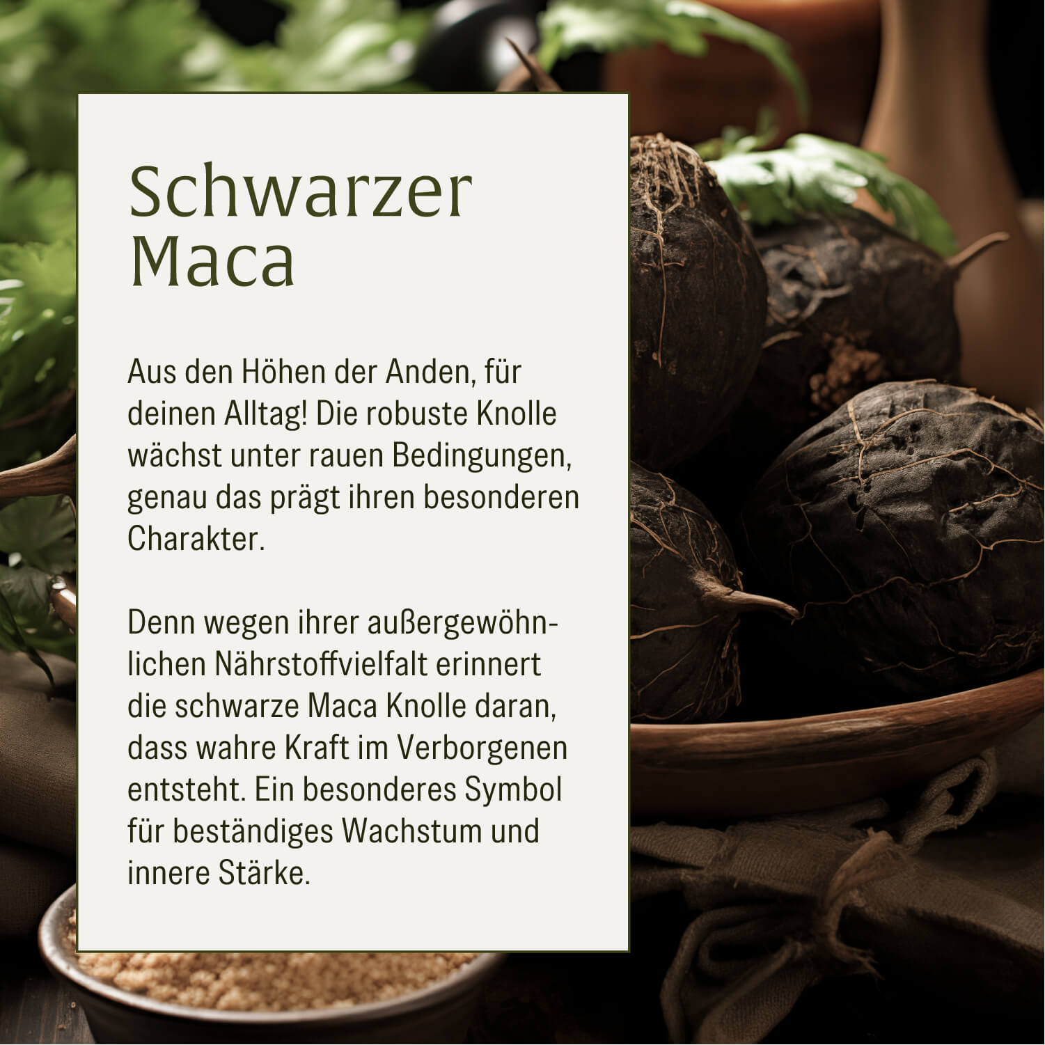 naturtreu-heldenkraft-maca-komplex-mit-tribulus-90-kapseln image 7