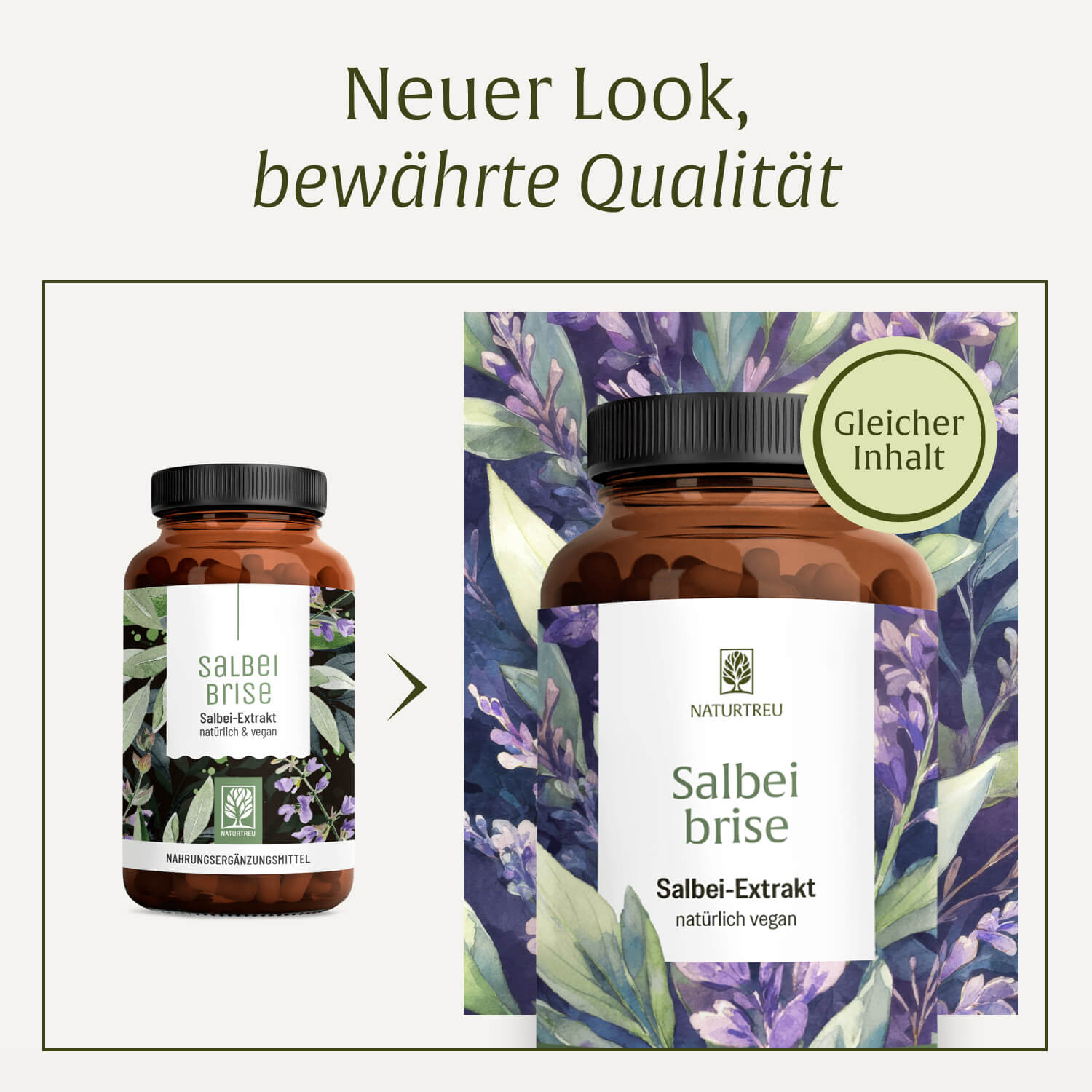 naturtreu-salbeibrise-hochdosierte-salbei-kapseln-mit-rosmarins-ure image 7