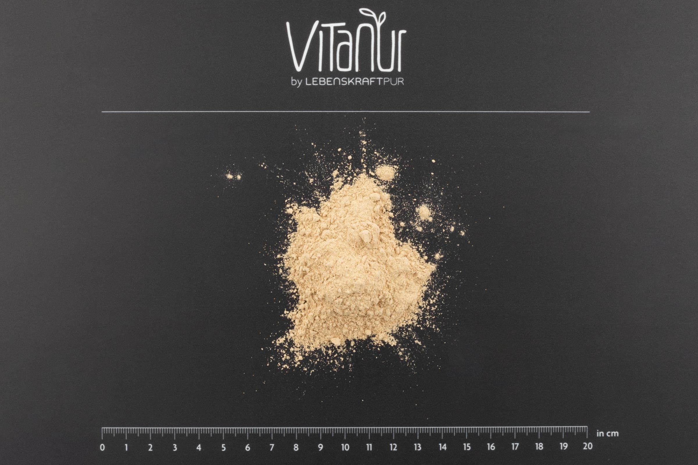 lebenskraftpur-bio-protein-vegan-pulver image 3