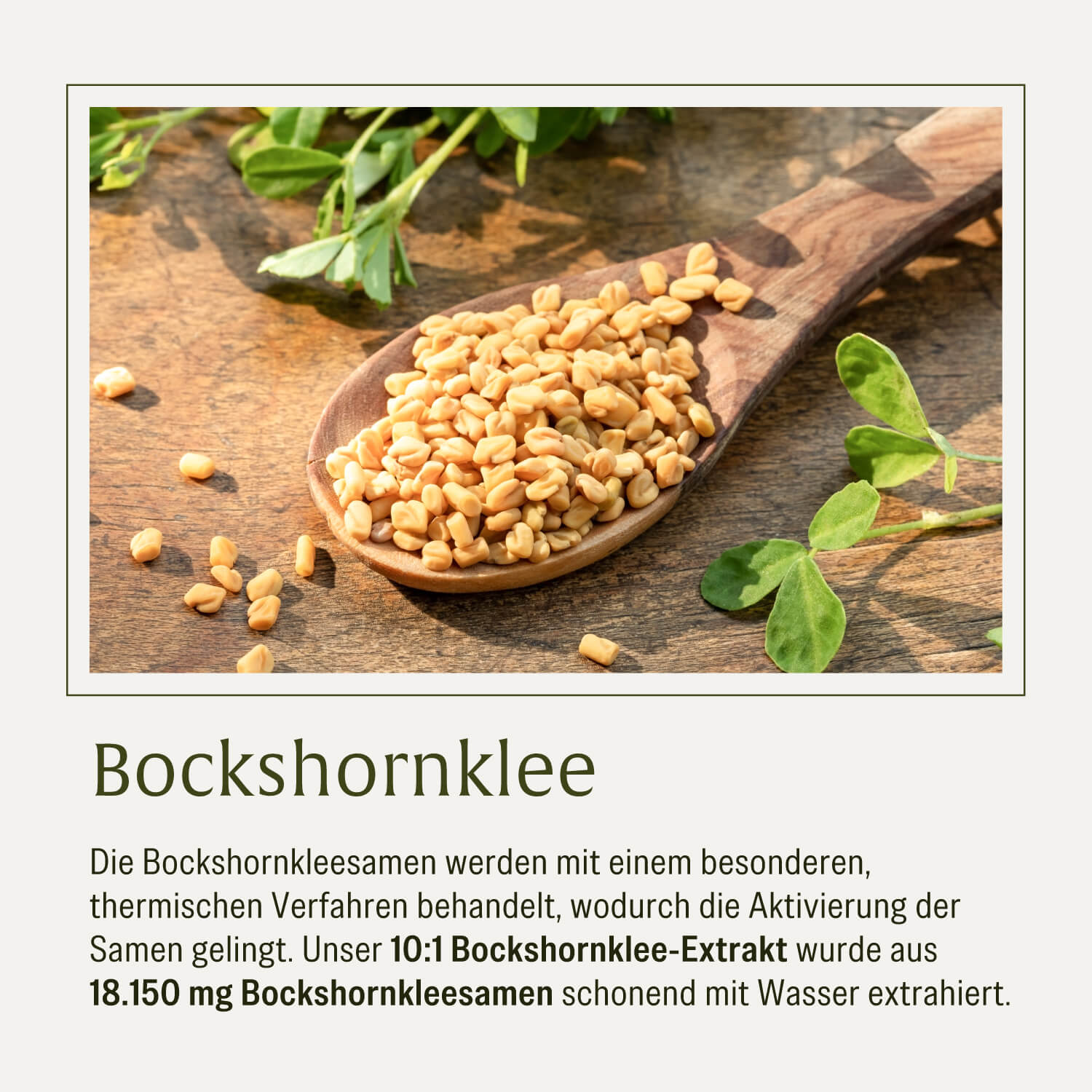 naturtreu-stillzeit-aktivierter-bockshornklee-komplex image 8