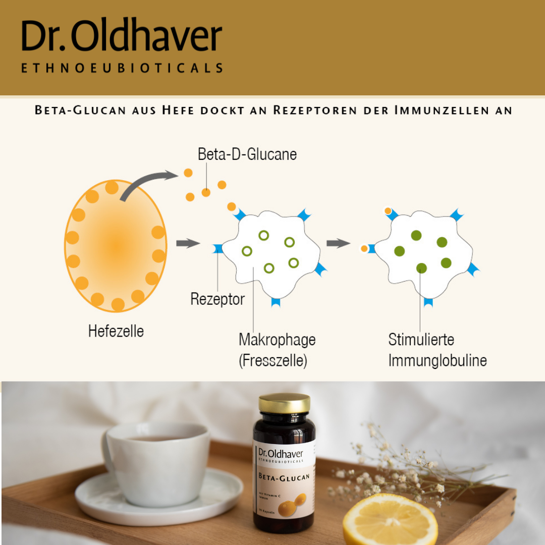 dr-oldhaver-beta-glucan-vitamin-c-immun-90-kapseln image 6
