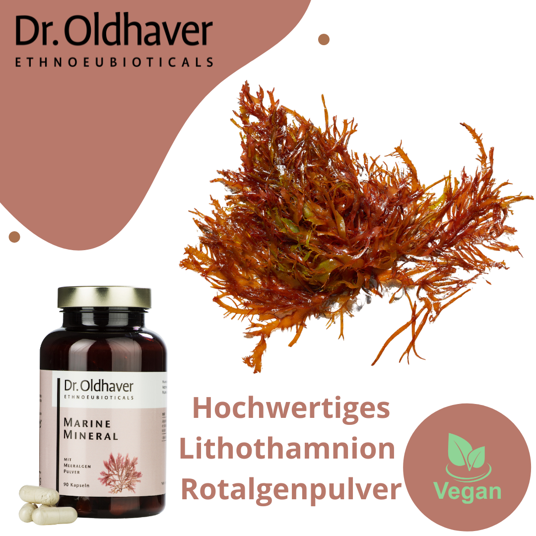 dr-oldhaver-marine-mineral-meeralgenpulver-90-kapseln image 4