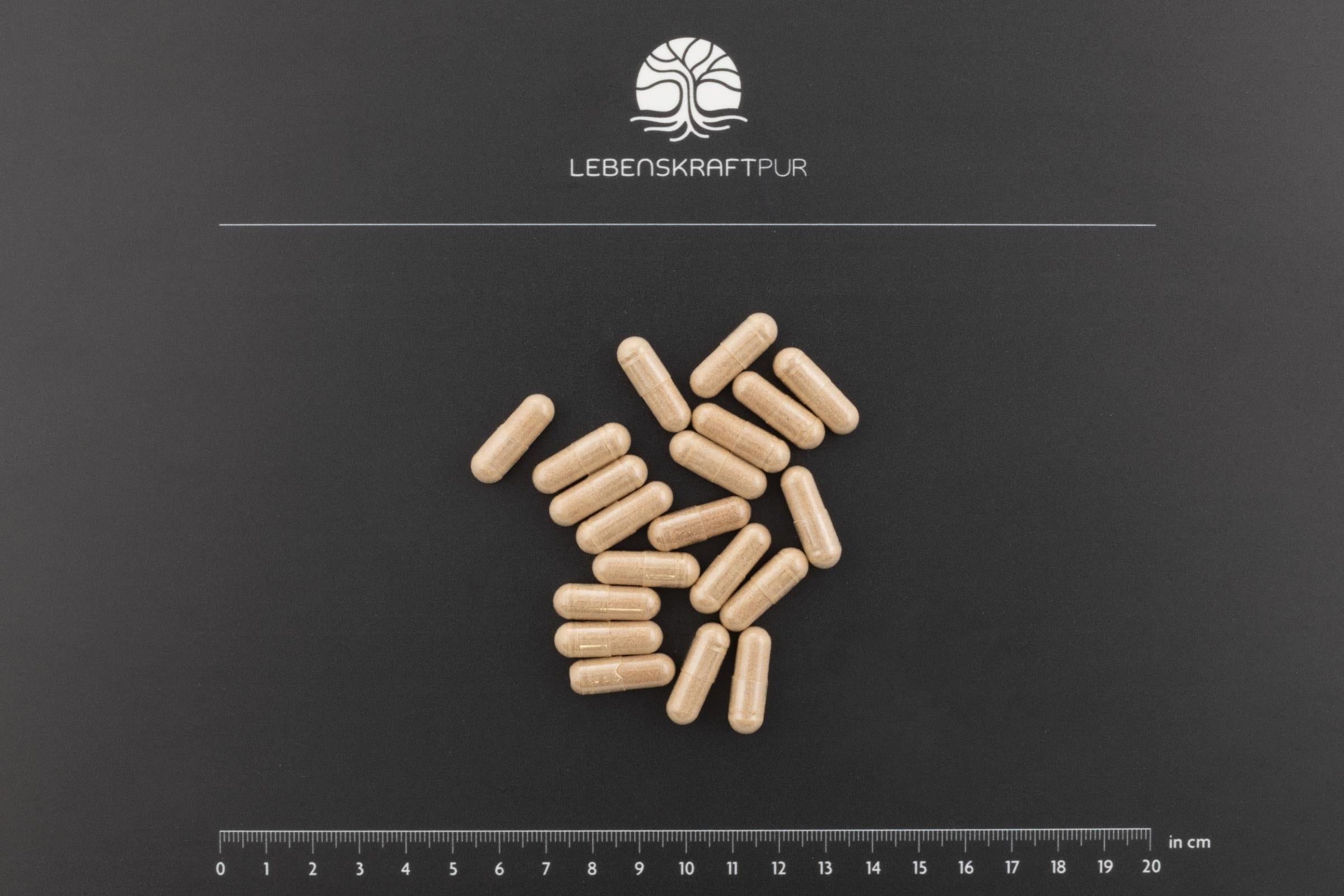 lebenskraftpur-adaptogen-komplex-kapseln-rhodiola-ashwagandha-ginseng image 3