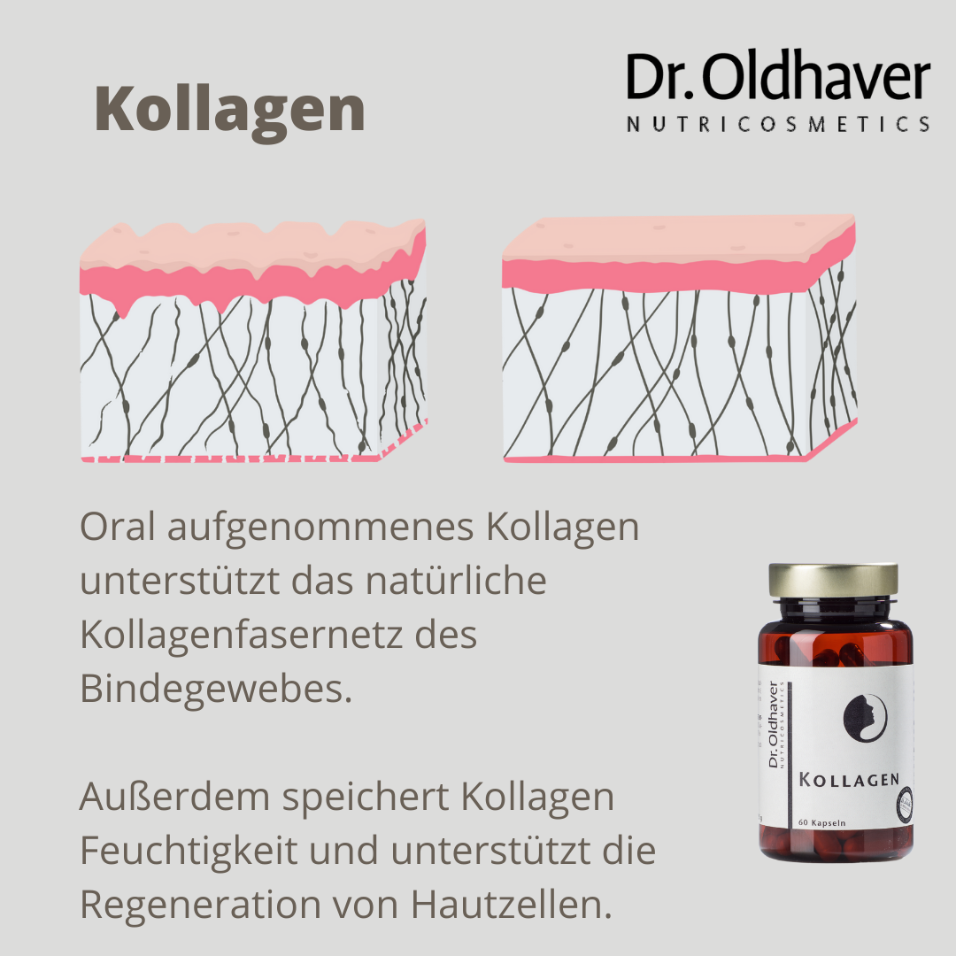 dr-oldhaver-kollagen-kapseln-hydrolysat-60-kapseln image 4