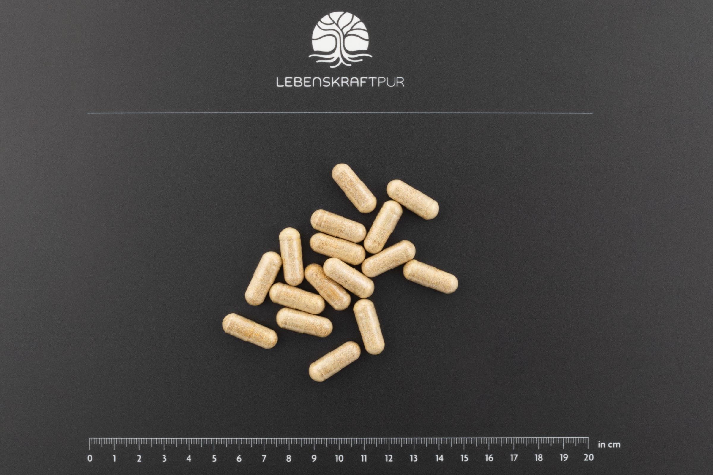 lebenskraftpur-kardio-kraft-kapseln-q10-wei-dorn-b1 image 3