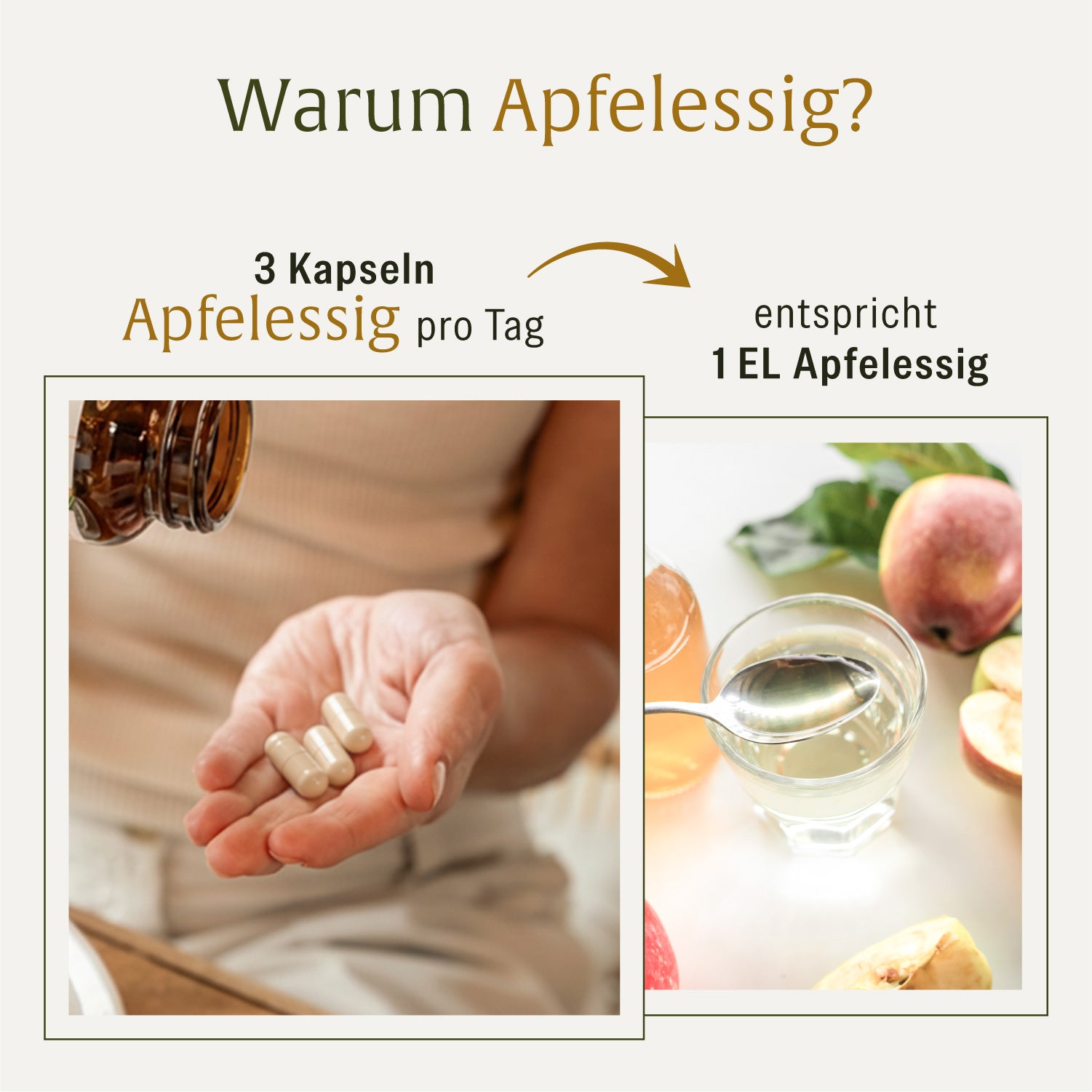 naturtreu-apfelessig-kapseln-mit-cayennepfeffer-milchs-urebakterien image 8