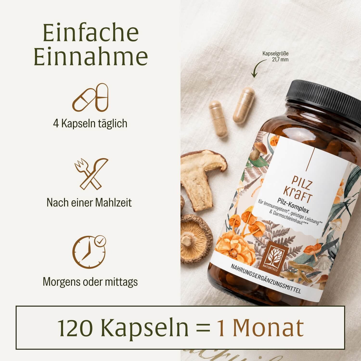 naturtreu-pilzkraft-kapseln-mit-reishi-shiitake-chaga-l-wenm-hne image 6