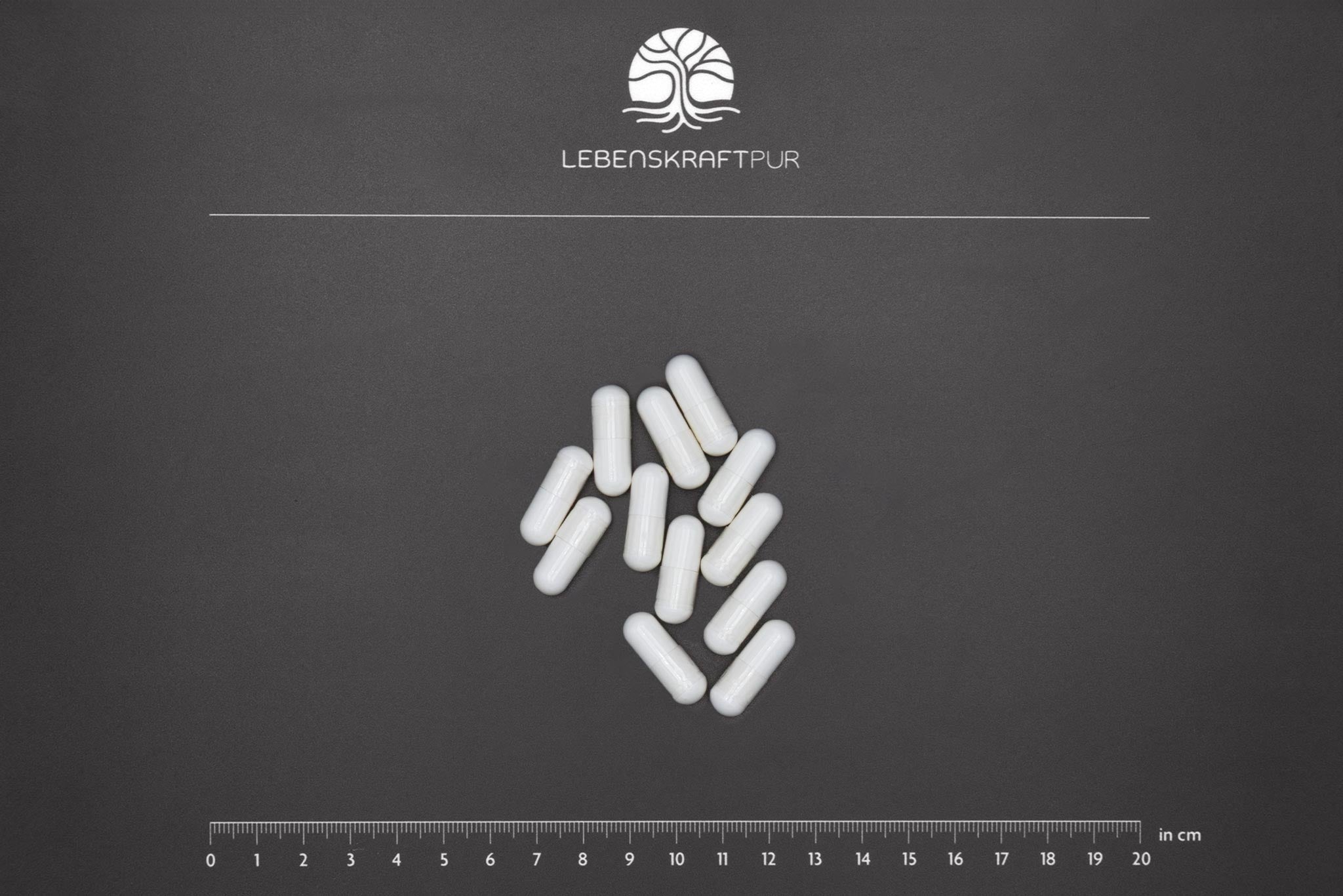lebenskraftpur-cerebro-mag-kapseln-magnesium-l-threonat-magtein-und-ata-mg-acety image 3