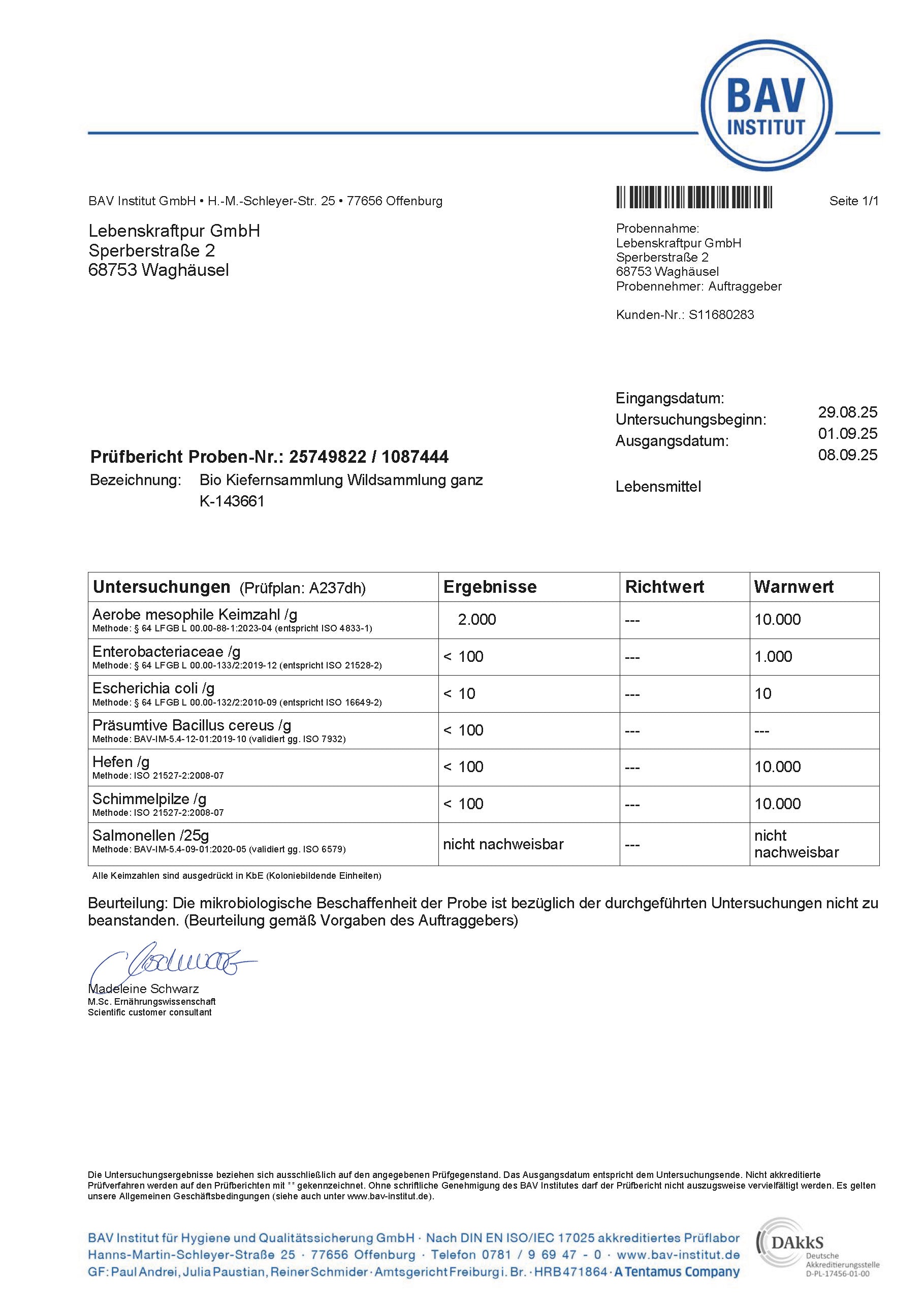 lebenskraftpur-bio-kiefernnadeln-ganz-kiefernadeltee-wildsammlung image 4