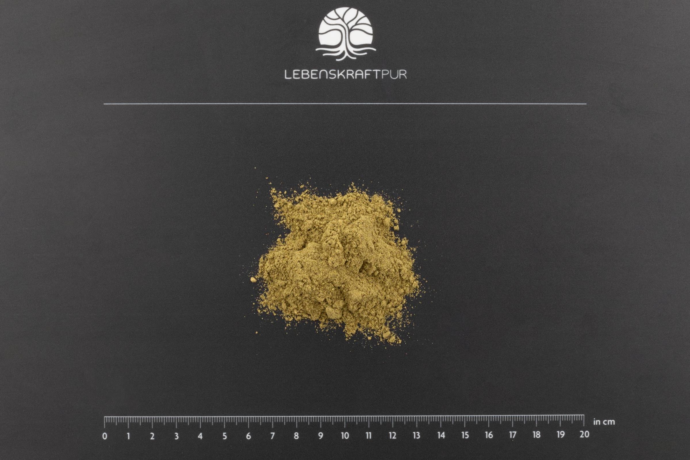 lebenskraftpur-bio-basis-plus-pulver-jubil-umsedition-mit-shaker image 5
