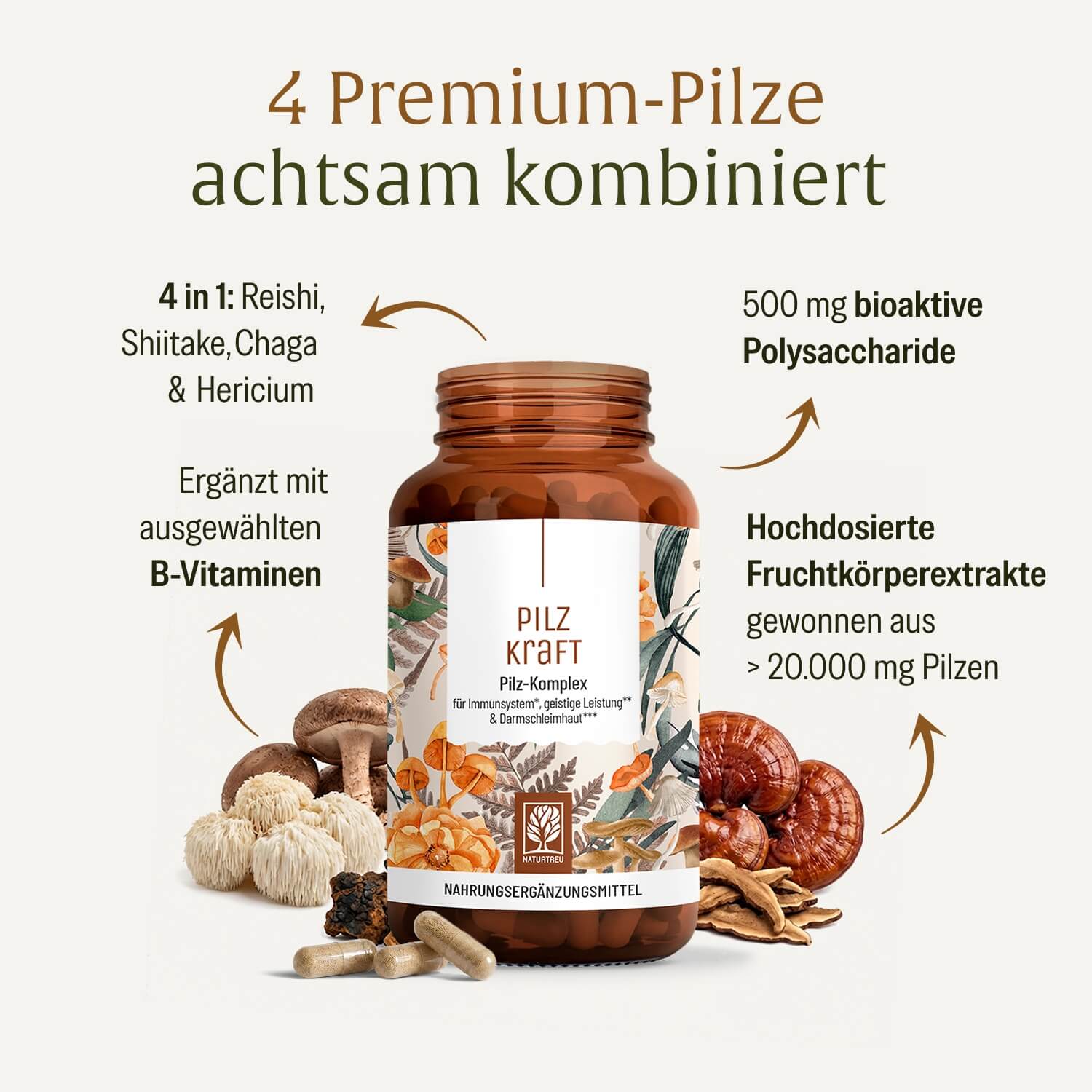naturtreu-pilzkraft-kapseln-mit-reishi-shiitake-chaga-l-wenm-hne image 3