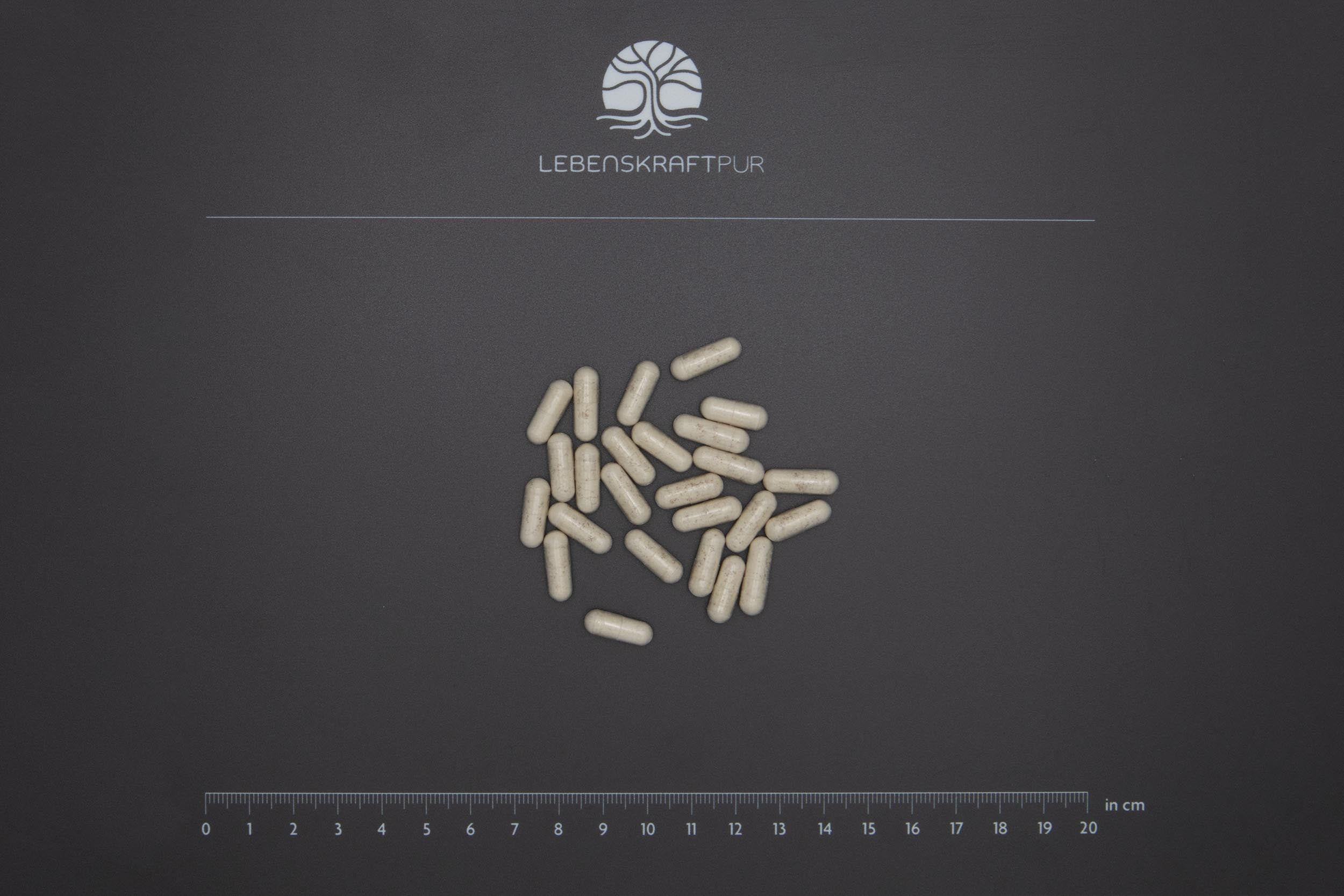 lebenskraftpur-mikrobiom-sensitiv-forte-kapseln-27-st-mme-darm image 3