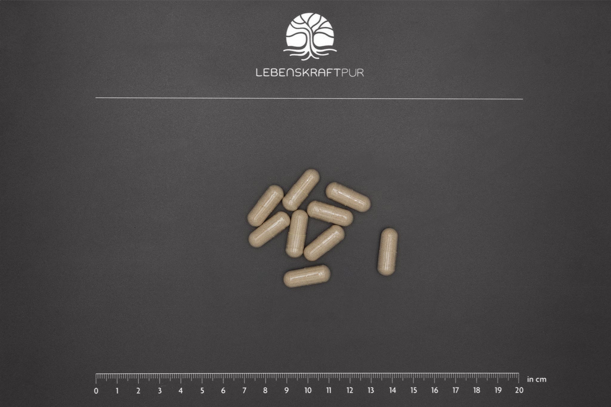lebenskraftpur-bio-leber-kapseln-rinderleber-gefriergetrocknet image 3