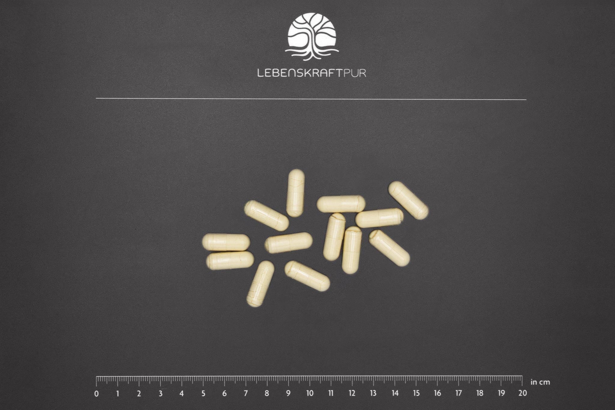 lebenskraftpur-bio-kolostrum-fermentiert-kapseln image 3
