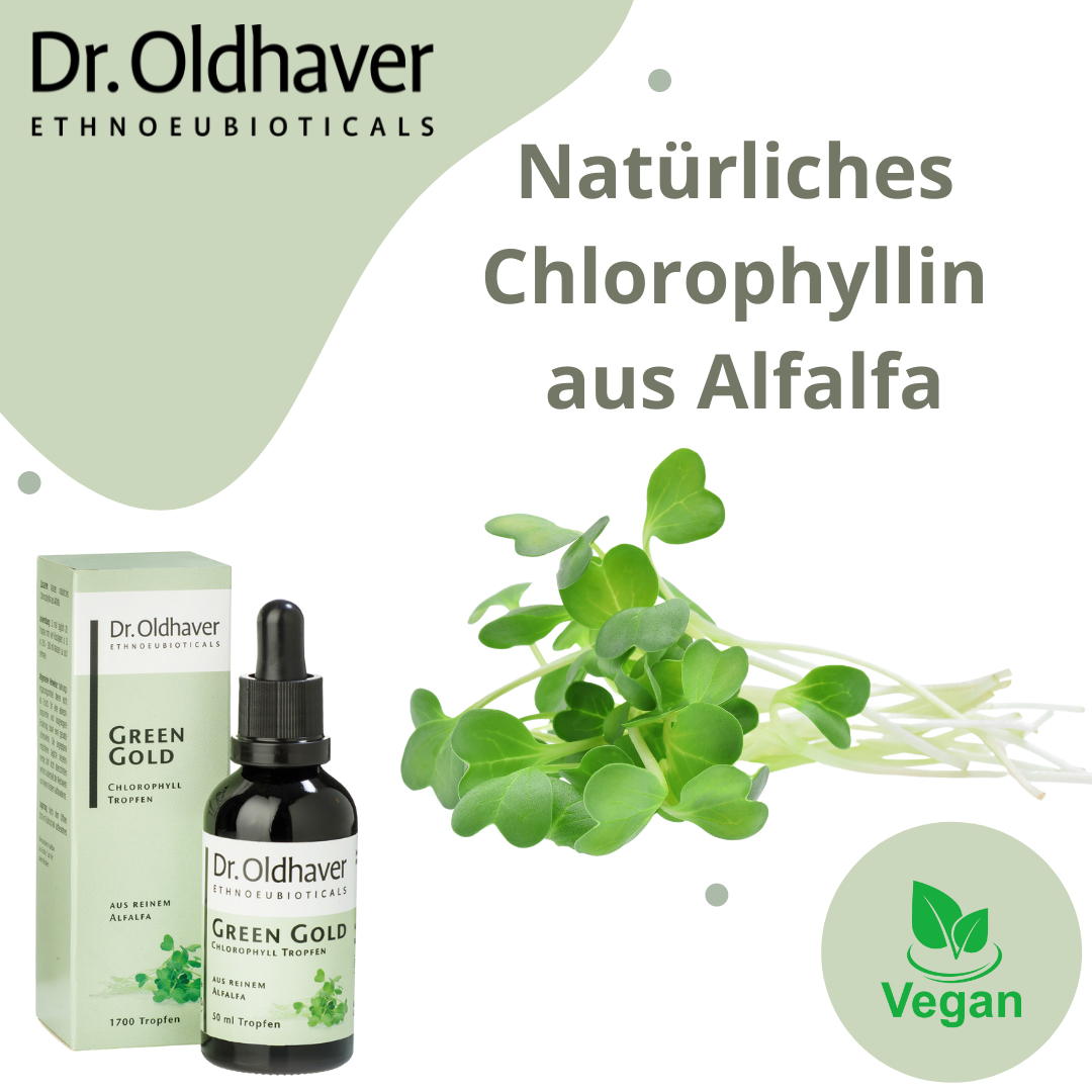 dr-oldhaver-green-gold-chlorophyll-tropfen image 5