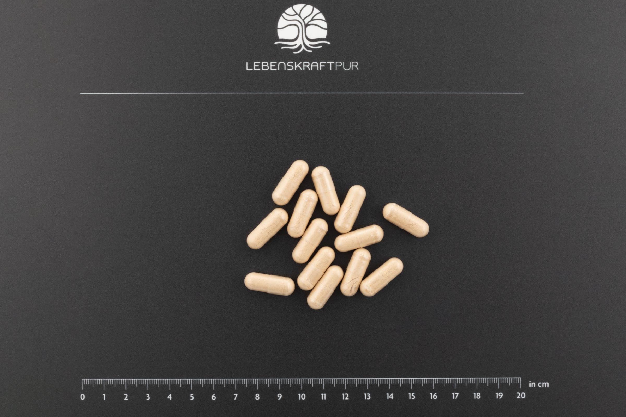 lebenskraftpur-regeneration-nacht-kapseln-mit-melatonin image 3