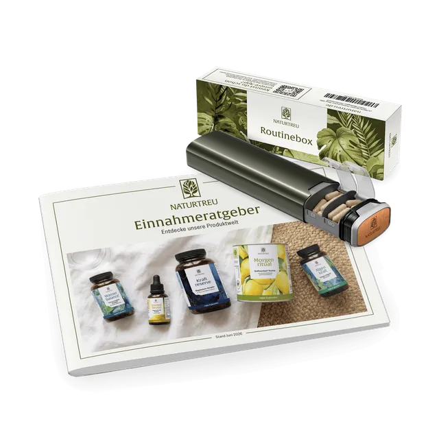 naturtreu-routine-support-sparpaket-routinebox-mit-pillenbox-tablettenbox-und-ei image 1