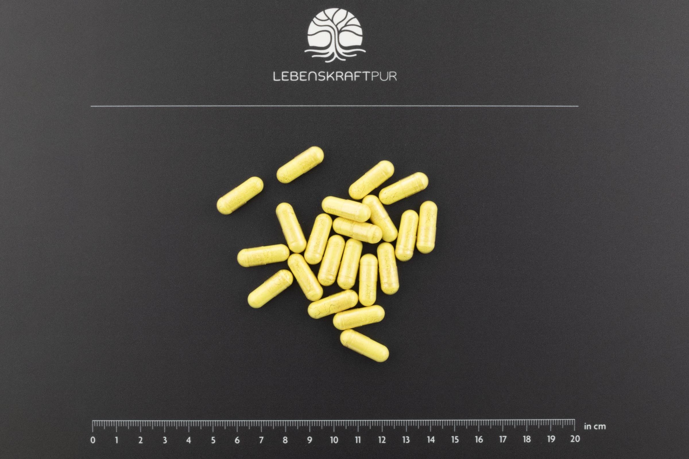 lebenskraftpur-quercetin-plus-kapseln-quercetin-vitamin-c-zink-vegan image 3