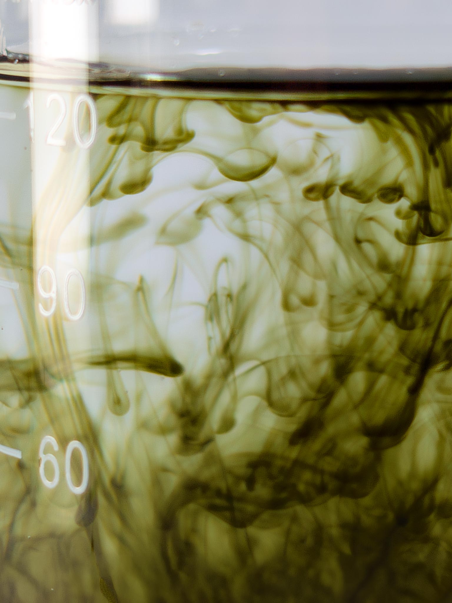 lebenskraftpur-chlorophyll-tropfen-liquid-aus-alfalfa image 3