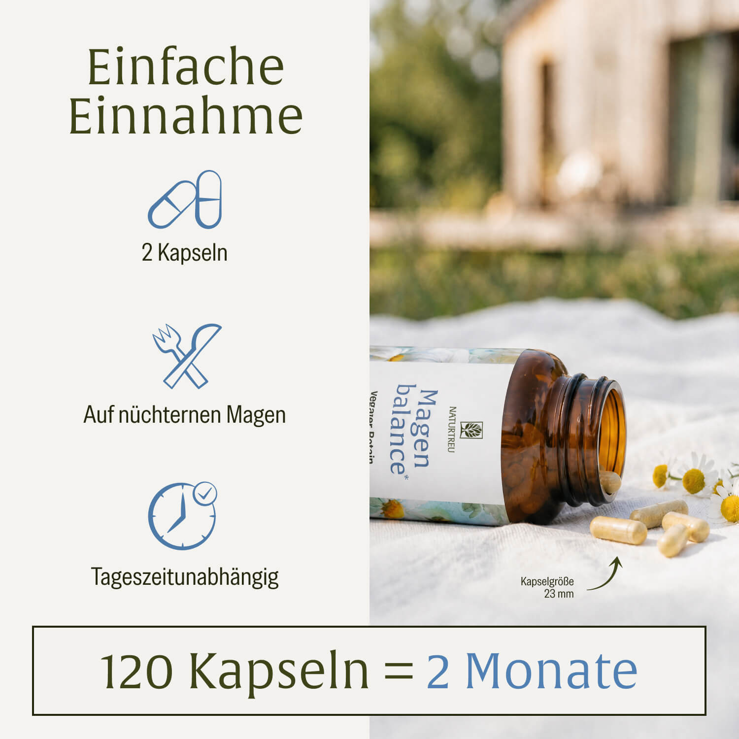 naturtreu-magenbalance-betain-hci-komplex-mit-pepsin-kamille-kapseln image 6
