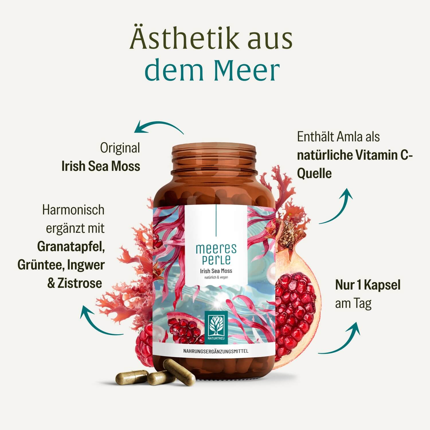 naturtreu-meeresperle-irish-sea-moss-kapseln-mit-zistrose-granatapfel-ingwer image 3