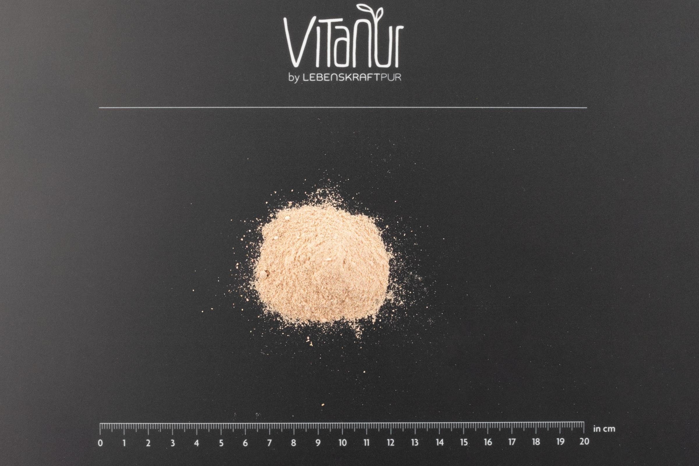 lebenskraftpur-bio-protein-vegan-erdbeere-pulver-erbsen-reis-cashew image 3