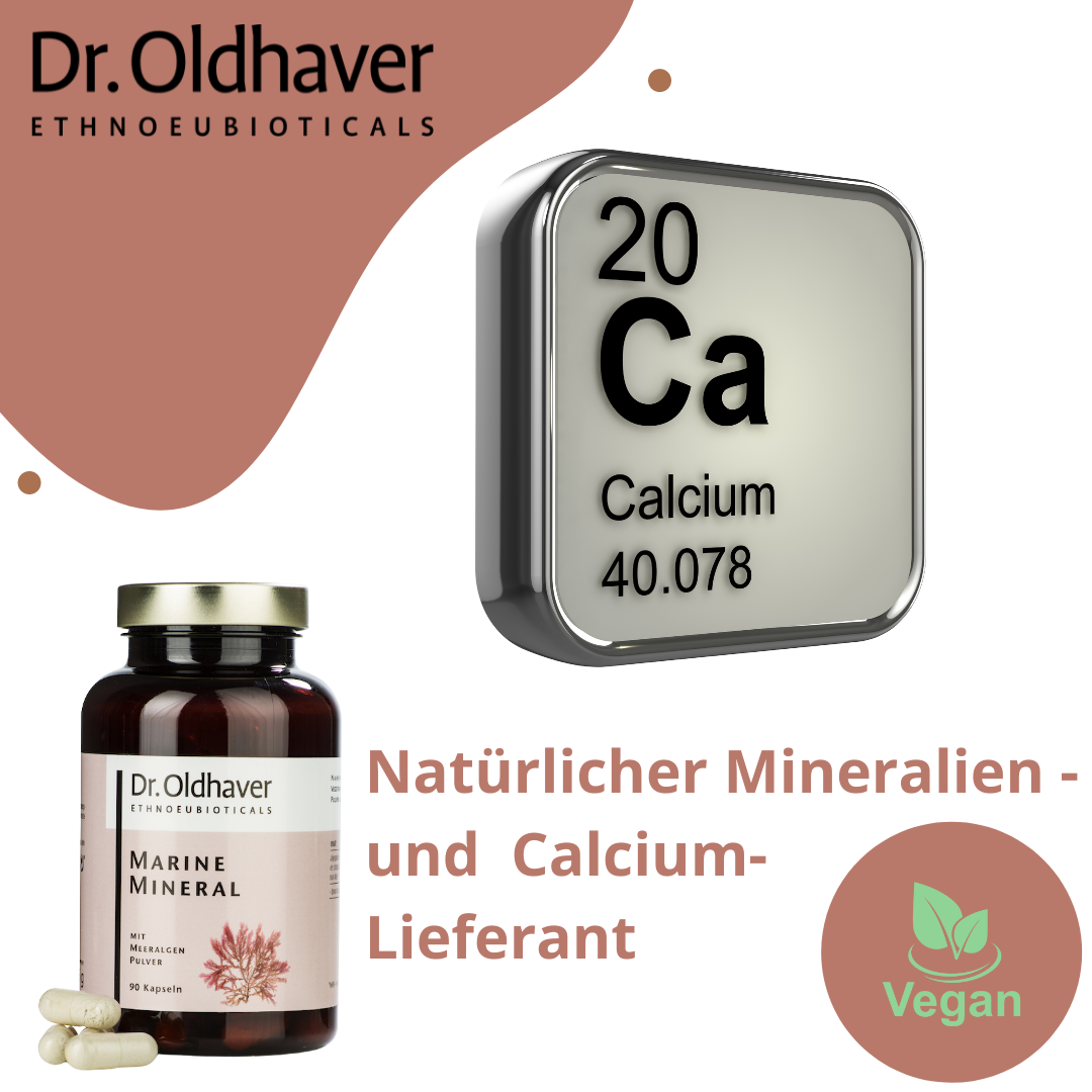 dr-oldhaver-marine-mineral-meeralgenpulver-90-kapseln image 5