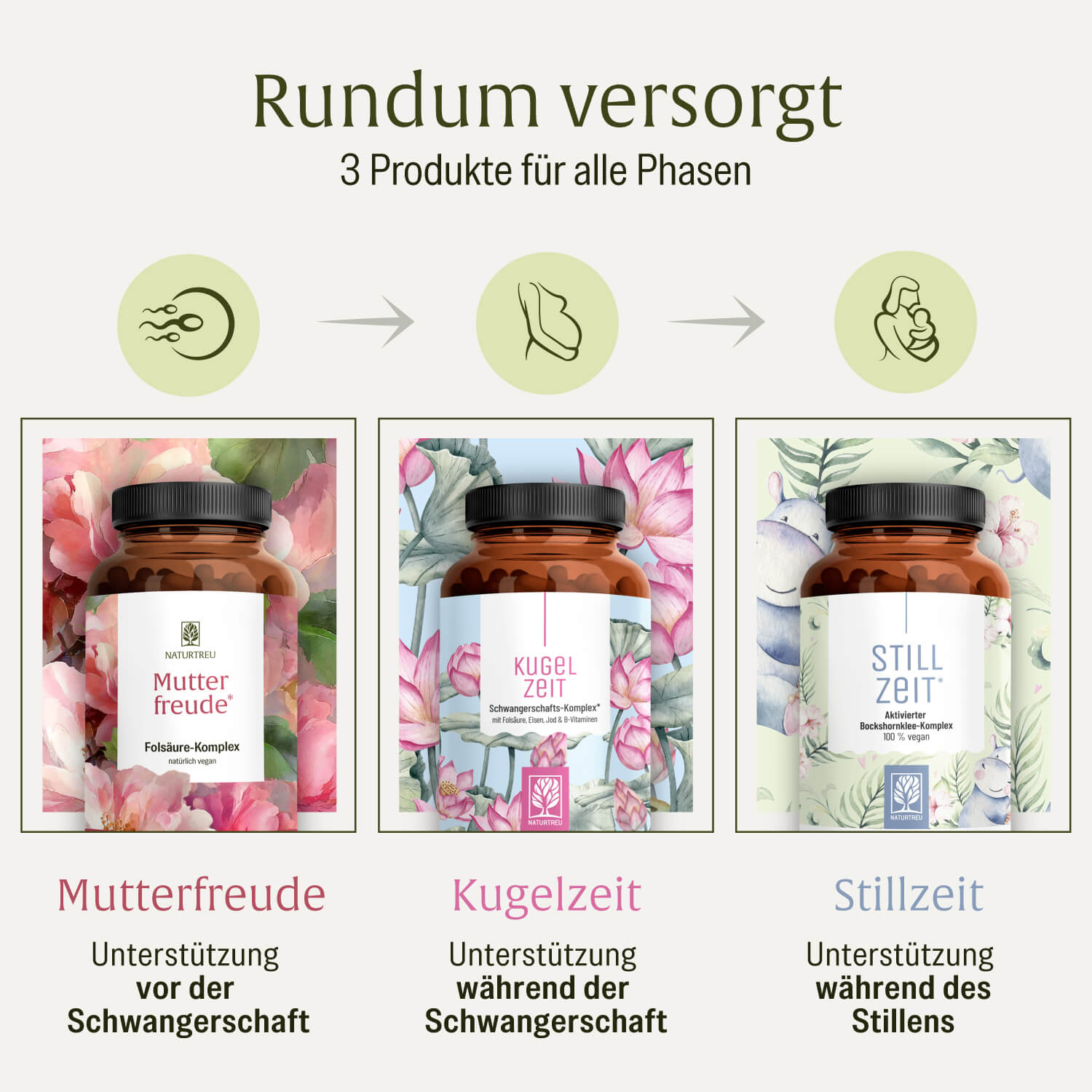 naturtreu-stillzeit-aktivierter-bockshornklee-komplex image 7