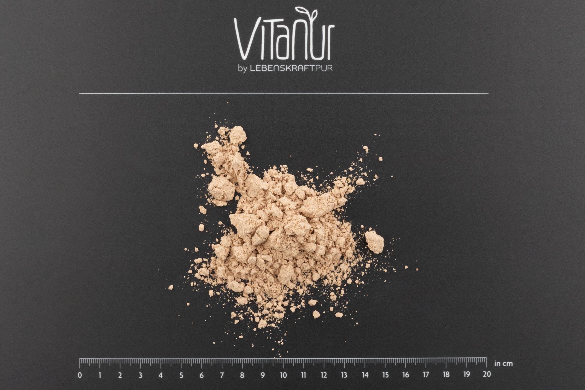 lebenskraftpur-bio-protein-vegan-dunkle-schokolade-pulver-5-zutaten-ber-40-prote image 3
