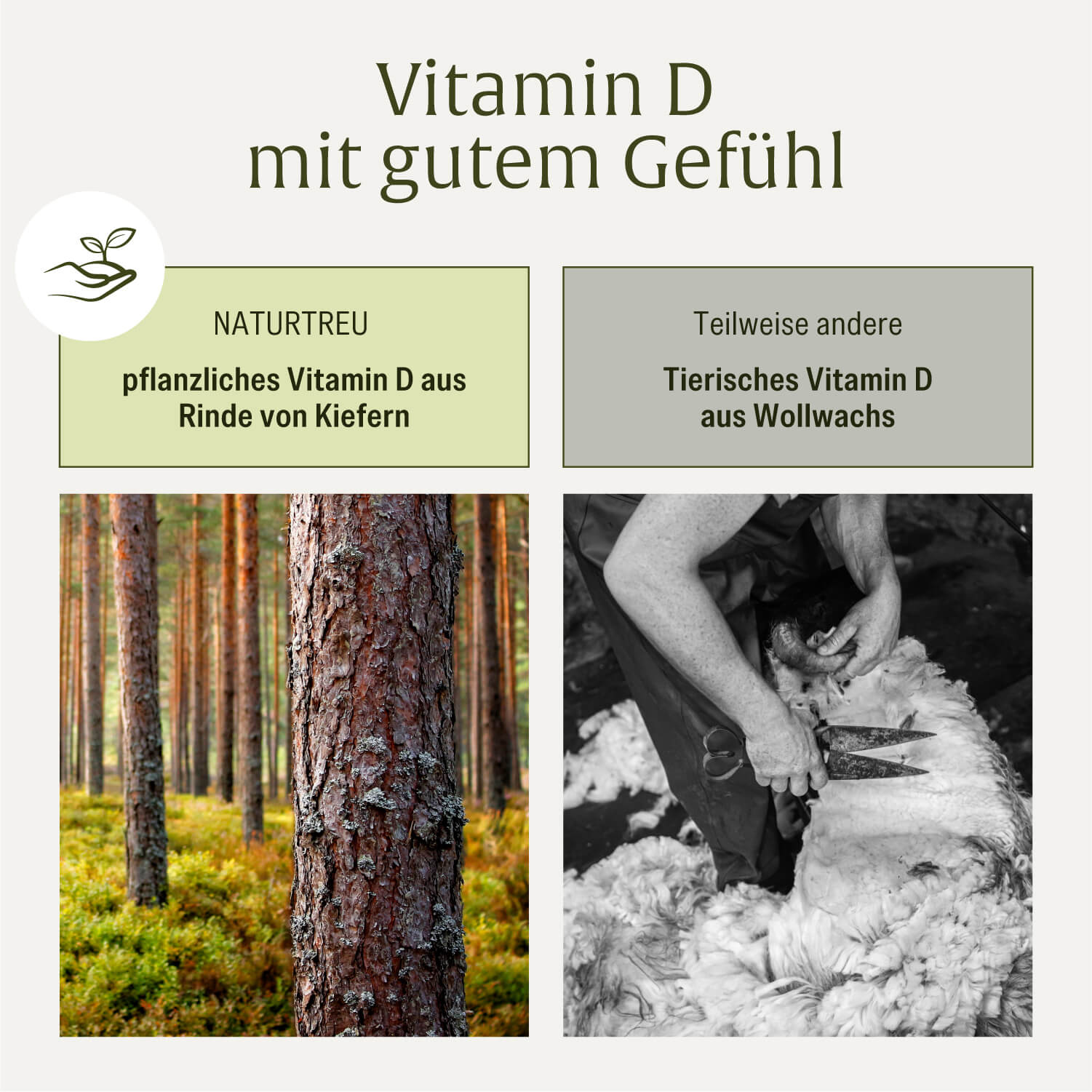 naturtreu-sonnenschatz-veganes-vitamin-d3-5-000-i-e-mit-k2-magnesium-kapseln-5-t image 8