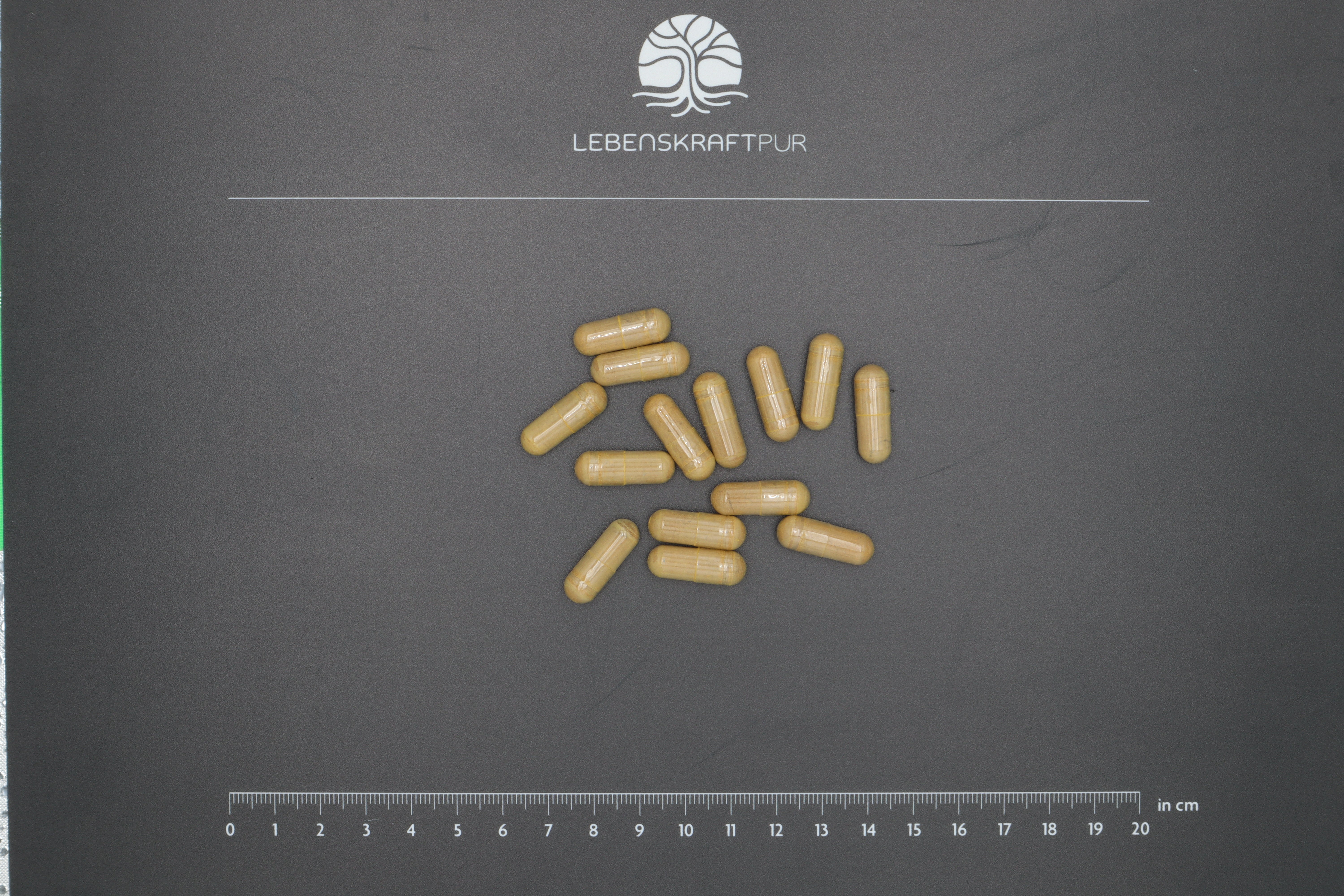 lebenskraftpur-leber-galle-vital-kapseln image 3