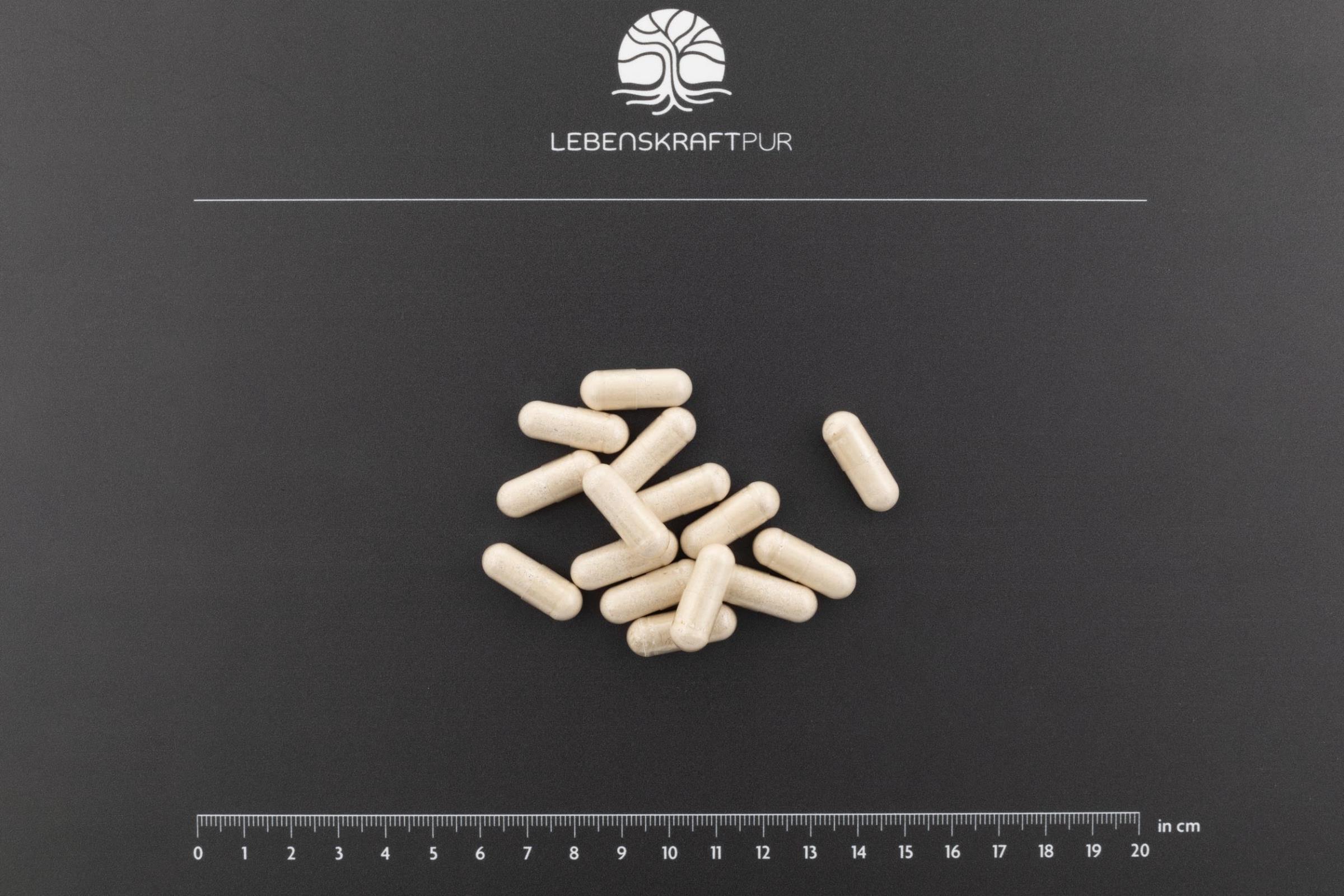 lebenskraftpur-osteo-formula-kapseln-calcium-magnesium image 3