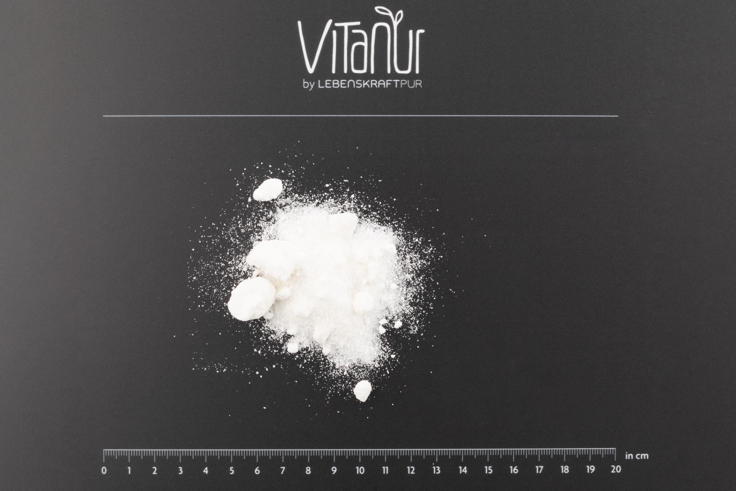 lebenskraftpur-bio-kokosnussmilch-pulver-superfood image 2