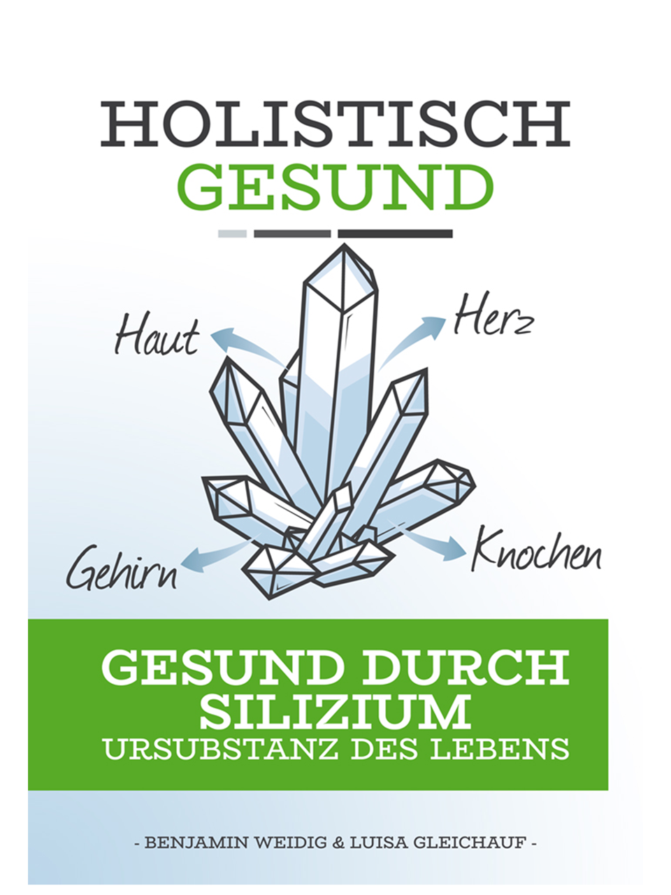 holistisch-gesund-gesund-durch-silizium-buch image 1