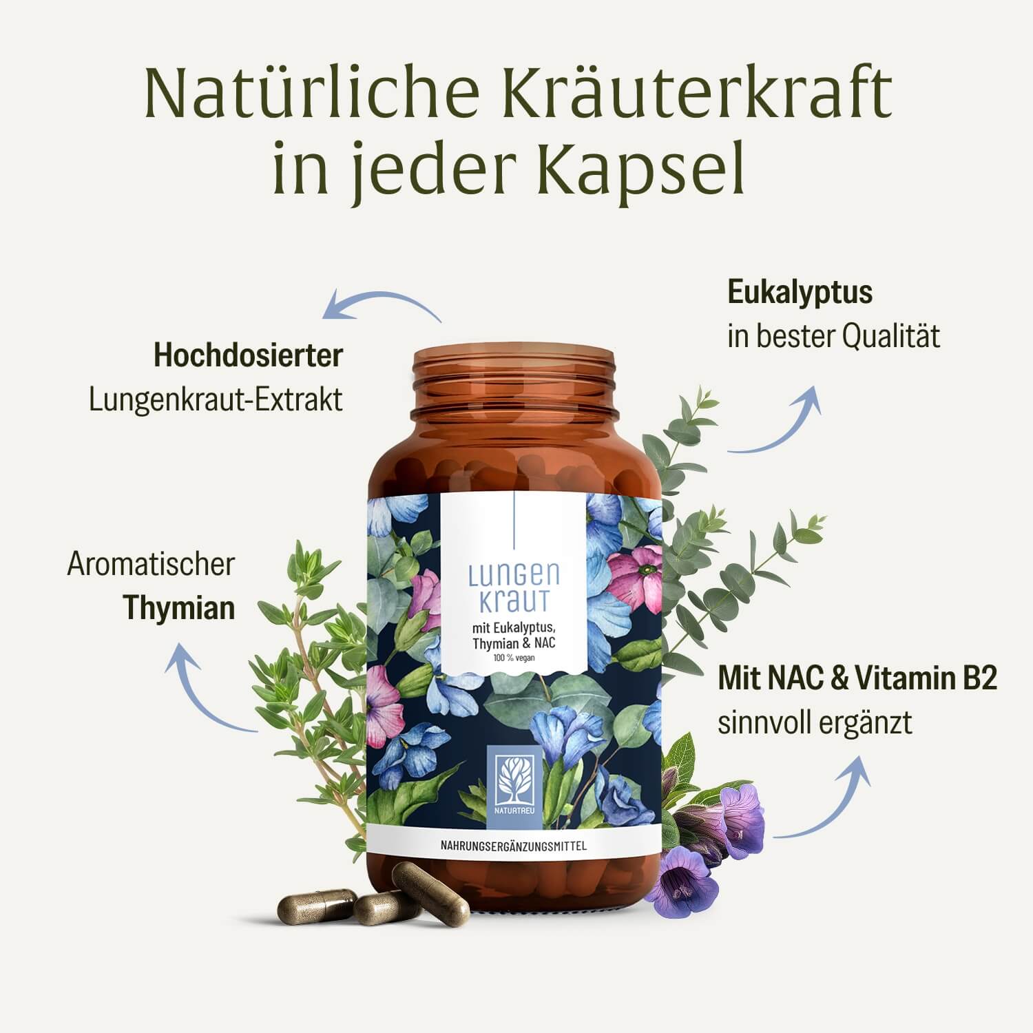 naturtreu-lungenkraut-kapseln-mit-eukalyptus-thymian-nac image 3
