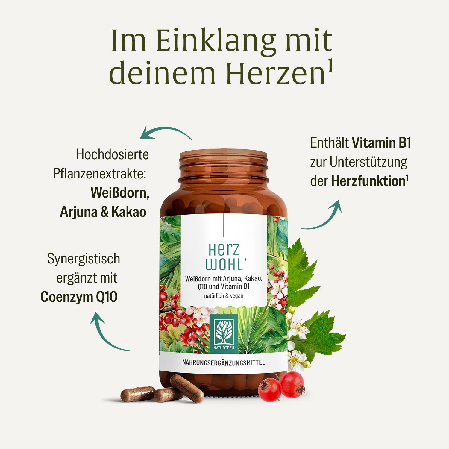 naturtreu-herzwohl-wei-dorn-komplex-mit-arjuna-kakao-q10-vitamin-b1 image 3