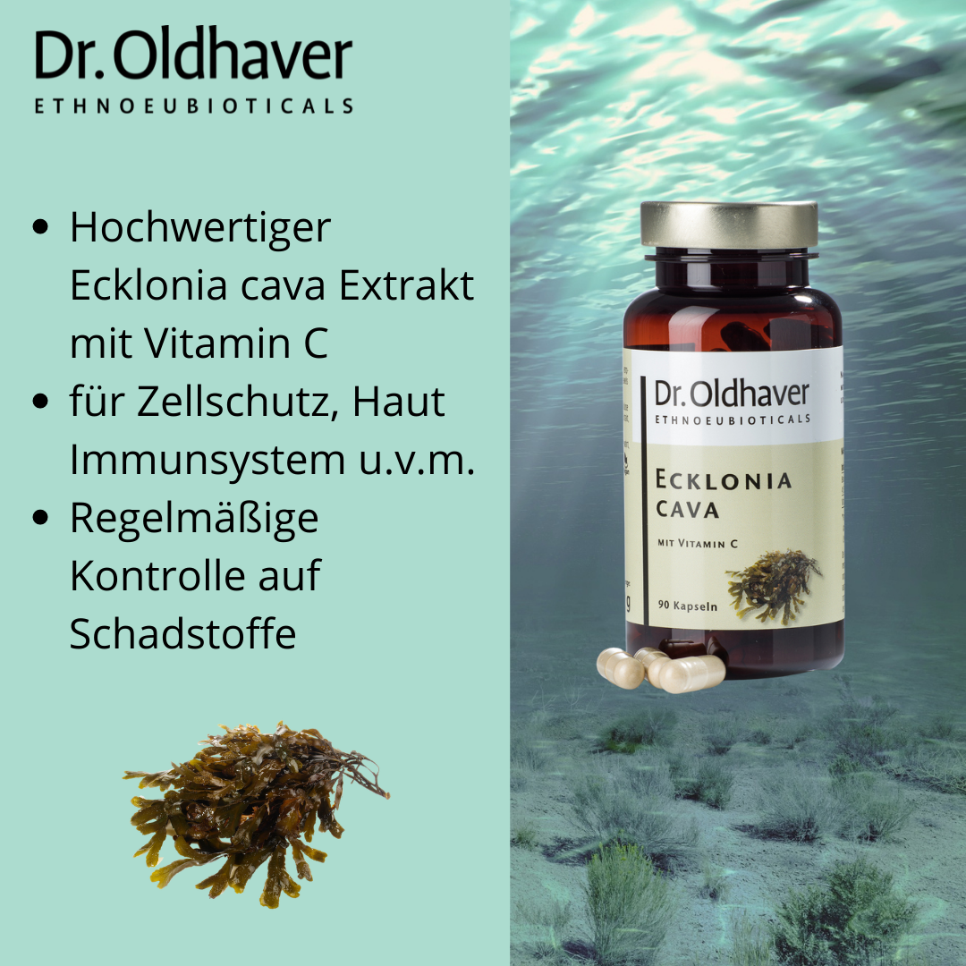 dr-oldhaver-ecklonia-cava-kapseln-90-kapseln-braunalge image 5